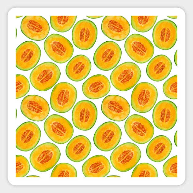 Melon slices watercolor pattern Sticker by katerinamk